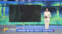 《中国电影报道》第248期（20240904）