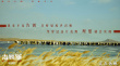 小家大愛！張杰獻(xiàn)唱《志愿軍：存亡之戰(zhàn)》片尾曲