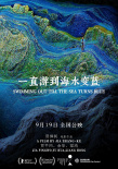 一直游到海水变蓝