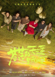 《苍茫的天涯是我的爱》海报