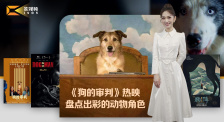 1905影视频：《狗的审判》热映 盘点出彩的动物角色