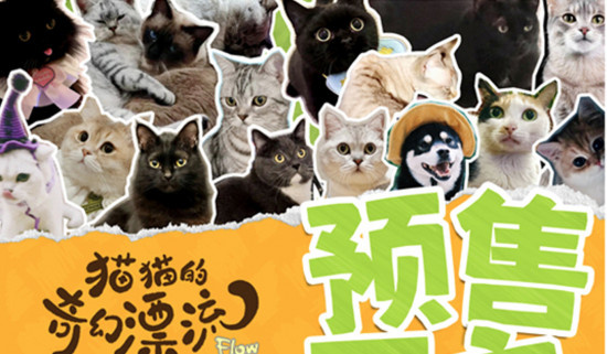 前方高萌！猫猫头来袭《猫猫的奇幻漂流》曝海报