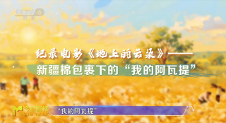 《地上的云朵》：从棉农的视角打开不一样的新疆