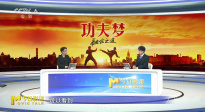 《功夫夢：融合之道》拳腳只是皮膚，文化才是內(nèi)核