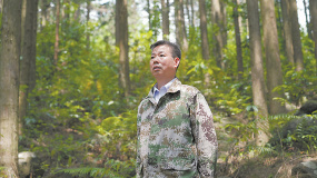 谭鹰