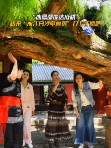 江一燕 斓曦 吕一 杨程成在丽江500年树龄古树下许愿！