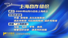 科技光影映上合风采，文化交融启文明新篇