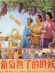 《葡萄熟了的時候》海報