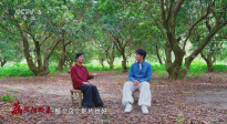 暑期檔光影行 | 直抵嶺南荔枝林：嘗一顆“李善德同款”，品出怎樣的人生滋味？