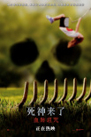 《死神来了：血脉诅咒》海报