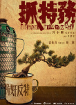 《抓特务》海报