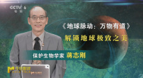 《地球脈動：萬物有道》：解鎖地球極致之美