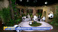 《中國電影報道》第257期（20250914）