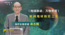 《地球脉动：万物有道》：解锁地球极致之美
