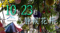 《胡阿姨的花園》正式定檔！10月23日全國藝聯(lián)專線上映