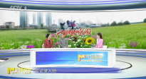 在別人的廢墟里，胡阿姨種出了一個春天