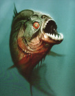 食人魚3D