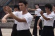叶问2：宗师传奇