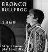 Bronco Bullfrog