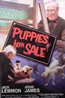 Puppies for Sale